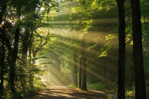 Een landgoed in de erf- of schenkbelasting